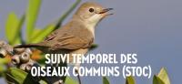 actu 30