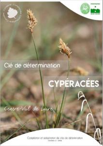 actu 6